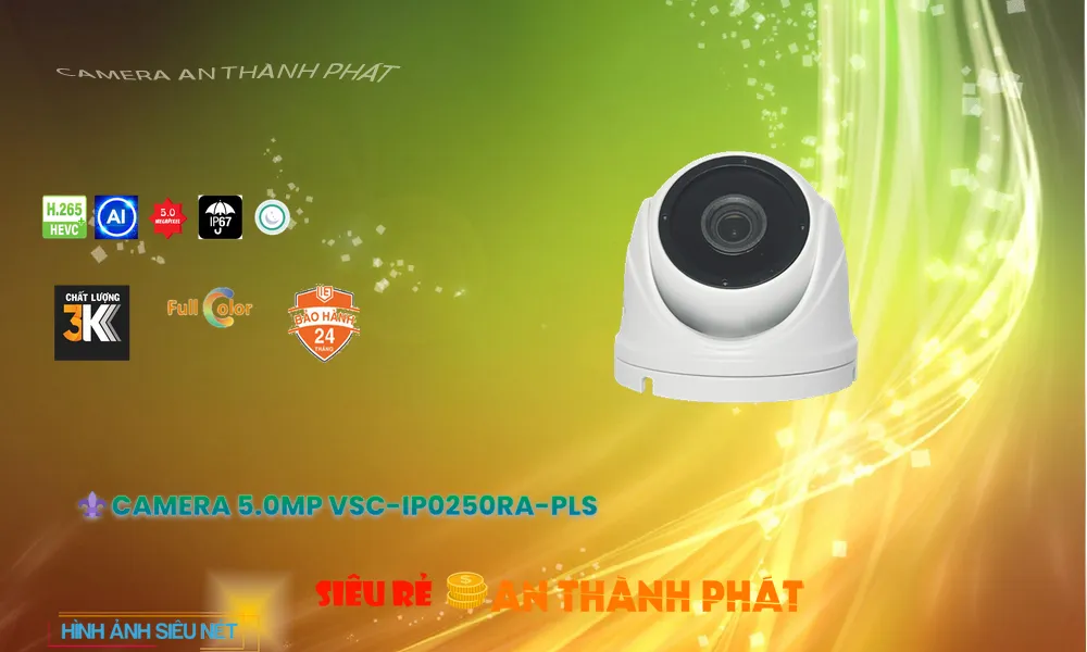 Camera Visioncop VSC-IP0250RA-PLS